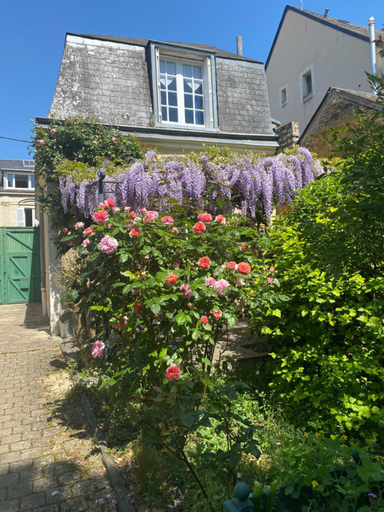 Others 4, 2 chambres, 4 a 6 voyageurs en centre ville, a 5 mins du zoo, Sarthe