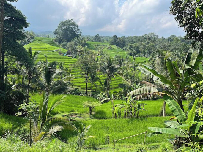 Others 4, Saridevi Ecolodge Bali, Tabanan