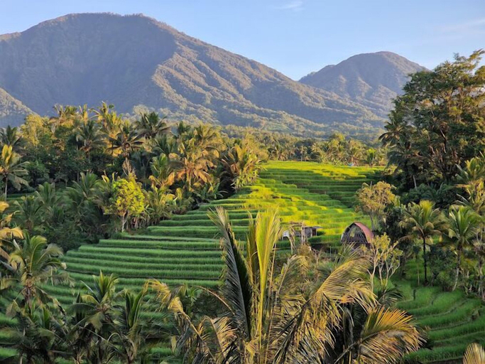 Others 5, Saridevi Ecolodge Bali, Tabanan