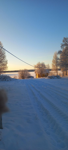 Others 5, B&B Aittoranta, Kainuu