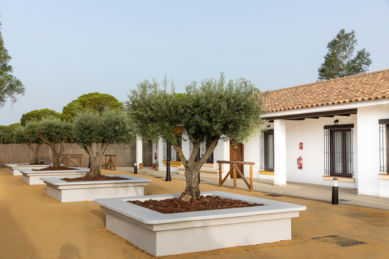 Others 2, La Cancela Apartamentos Turisticos, Huelva