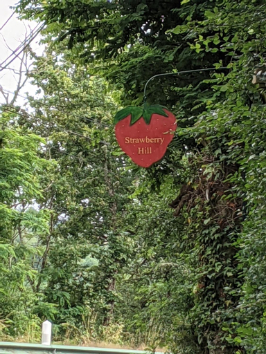 Strawberry Hill, Saône-et-Loire