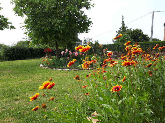 Garden 4, DEUX CHAMBRES DANS UNE MAISON INDIVIDUELLE AU COEUR De L AVESNOIS, Nord