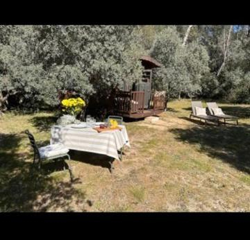 5, Roulotte / Tiny House dans les Alpilles, Bouches-du-Rhône