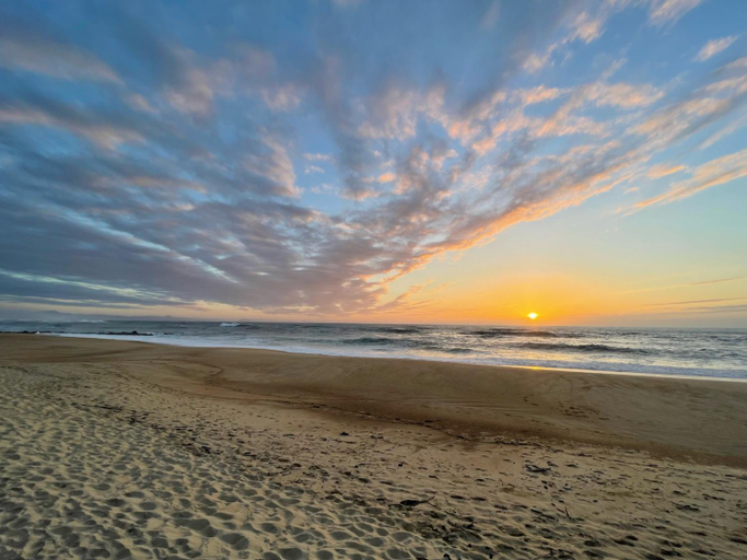 Others 3, « Aux bonheurs Landais », Landes