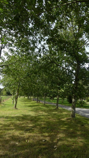 Others 4, La Petite Lande, Mayenne
