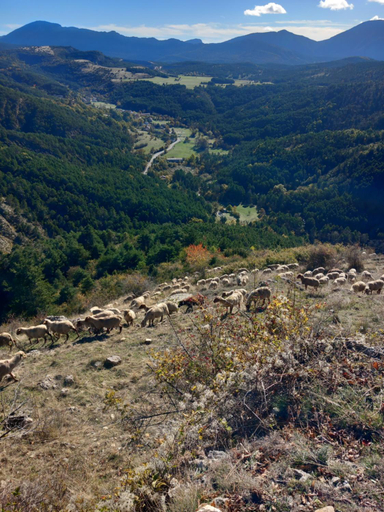 Others 3, GITE LA MOUNTAGNA, Alpes-de-Haute-Provence