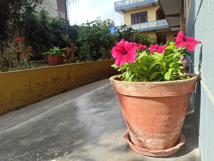 Others 3, Pushpa Guest House, Gandaki
