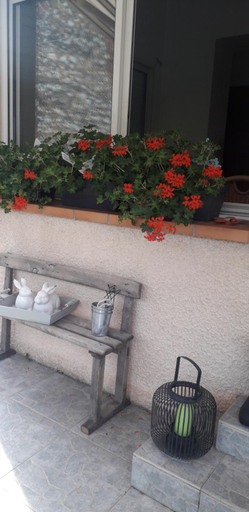 Others 4, Cote jardin, Dordogne