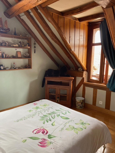 Others 4, Chambre d'Hote du Pic Drille, Aube