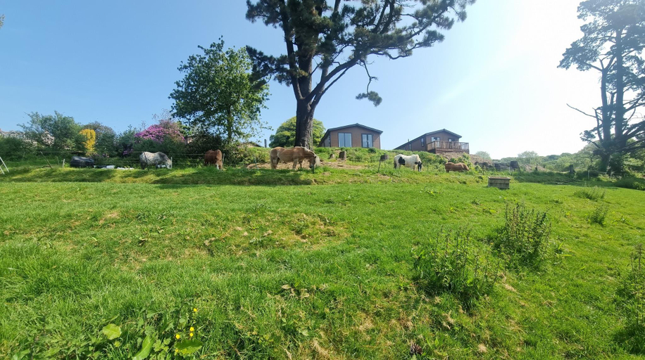Others 4, Valley View Lodges, Cornwall