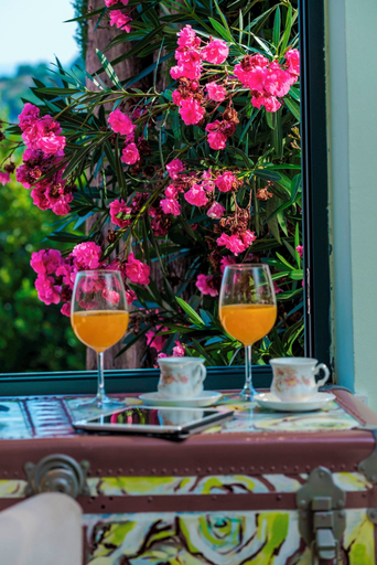 Food & Drinks, Hedera Estate, Villa Hedera XIX, Župa Dubrovačka