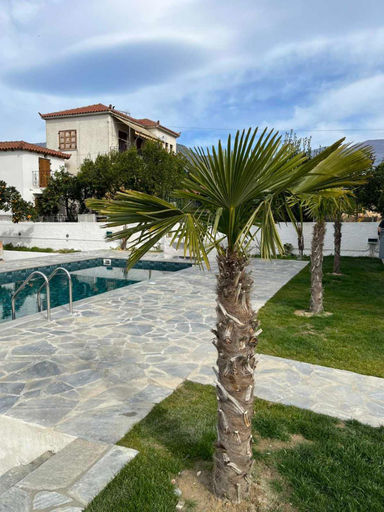 Sport & Beauty 2, Kostis Orange Resort, Thessaly