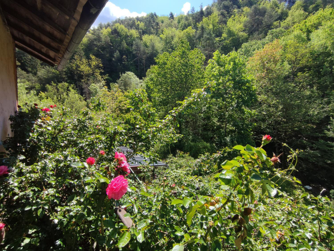 Others 5, Moulin vieux, Alpes-Maritimes