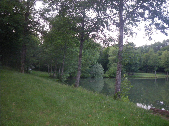 Others 4, Chambre triple du grand sapin, Haute-Marne
