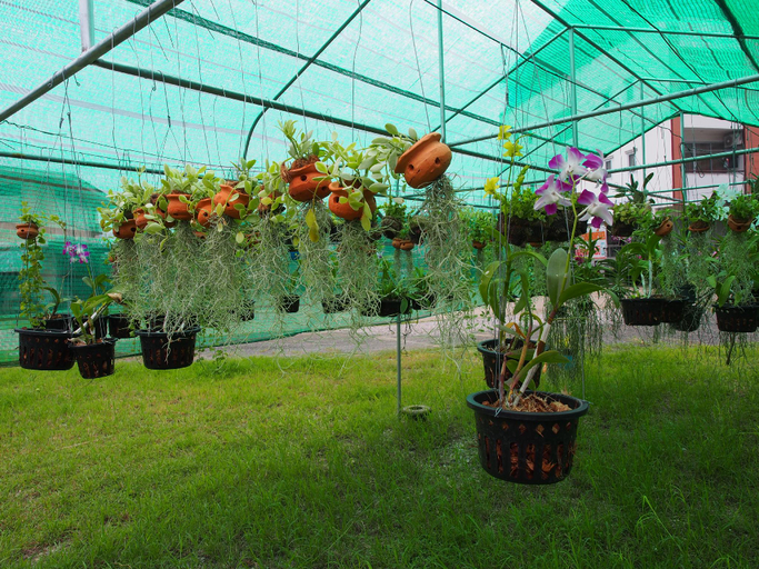 Others 5, Phetsuwan Hotel, Muang Phetchabun