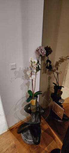 Others 5, XuBa ApartmentRooms Messe Wien Prater, Wien