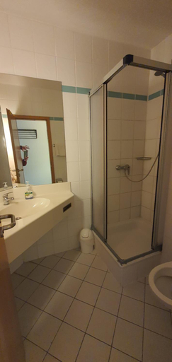 Bathroom 2, Hotel Flörsheimer Hof, Main-Taunus-Kreis