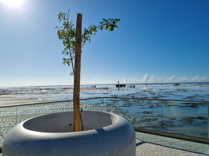 Others 5, Apê na Ponta Verde com Wi-Fi e Piscina no Topo, Maceió (capital)