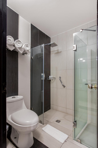 Bathroom 5, Radisson Hotel & Convention Center Toluca, Toluca