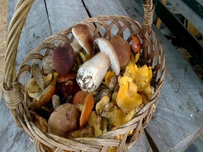 Food & Drinks 4, AgroKorytnica, Drawsko