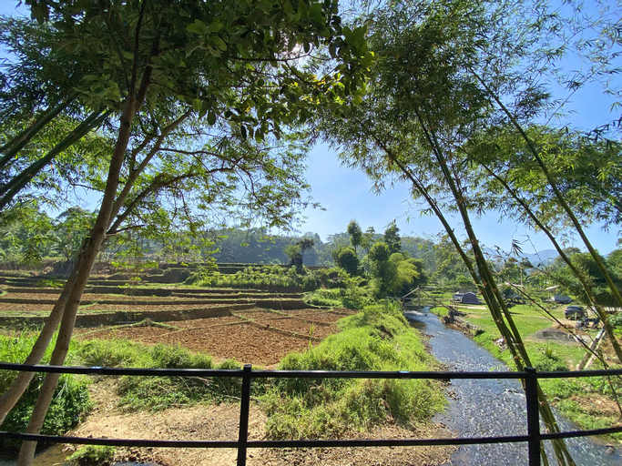 Scenery