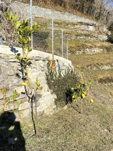 Others 4, Ca'Gialla, Bellinzona
