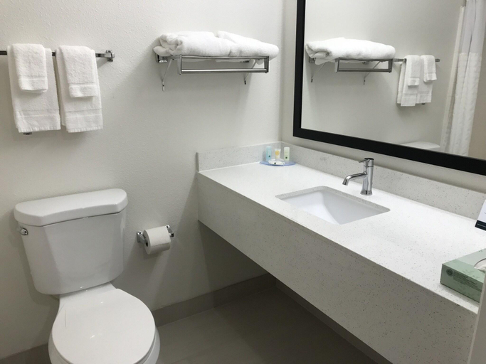 Bathroom 4, Quality Inn & Suites Fresno Northwest, Fresno