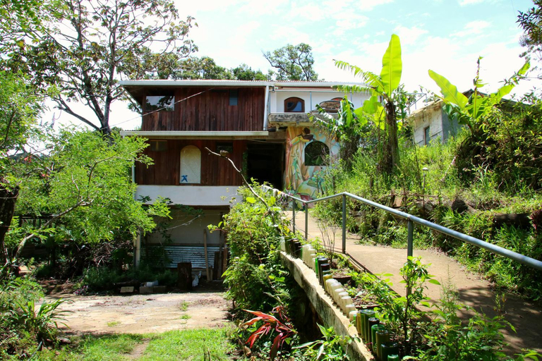 Others 4, Casa Alquimia, Puntarenas