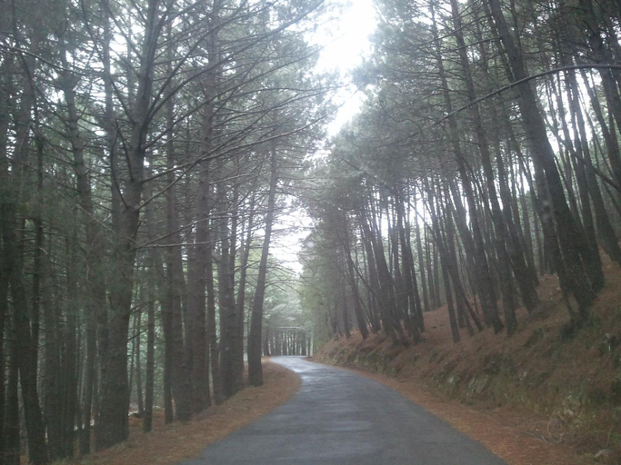 Others 5, Hostal-Restaurante Fogon de Gredos, Ávila