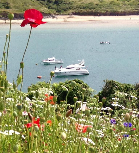 Others 4, Cyntwell Guest Accommodation, Cornwall