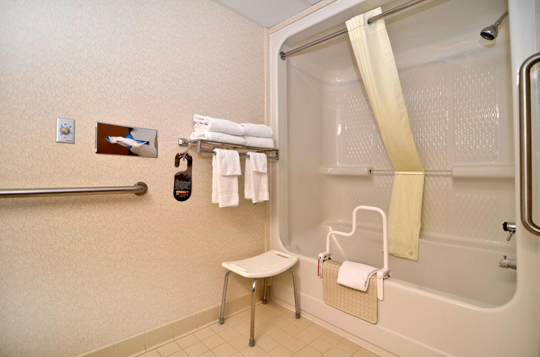 Bathroom 4, Comfort Inn at Thousand Hills, Taney