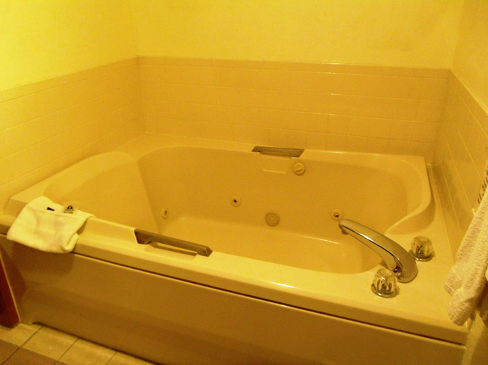 Bathroom 4, Americas Best Value Inn and Suites Nevada, Vernon