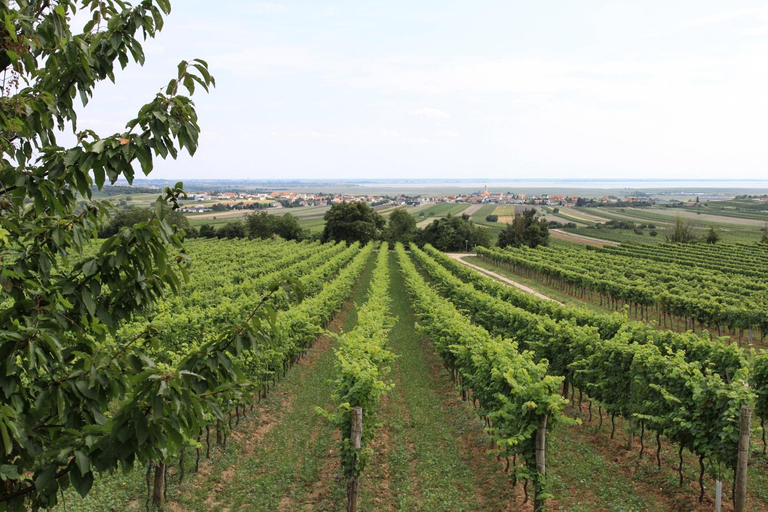 Others 4, Schnepfenhof, Neusiedl am See