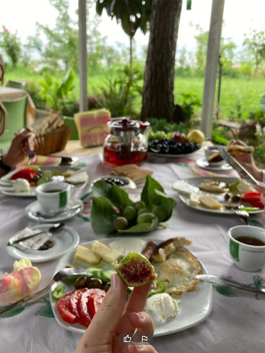 Food & Drinks, Hotel Nature, Lushnjës