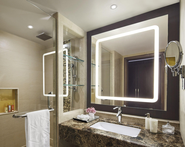 Bathroom 5, Taj Hotel & Convention Centre, Agra, Agra