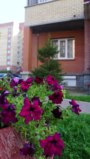 Exterior & Views 1, Hostel "Smorodina-NSK", Novosibirskiy rayon