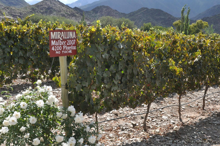 Facilities 5, Miraluna - Cabanas & Bodega, Cachi
