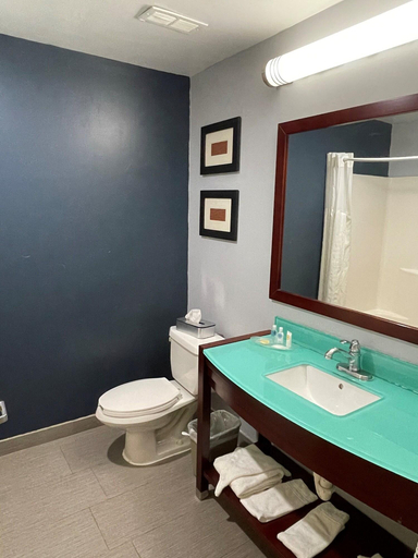 Bathroom 5, Comfort Suites Waldorf Area, Charles