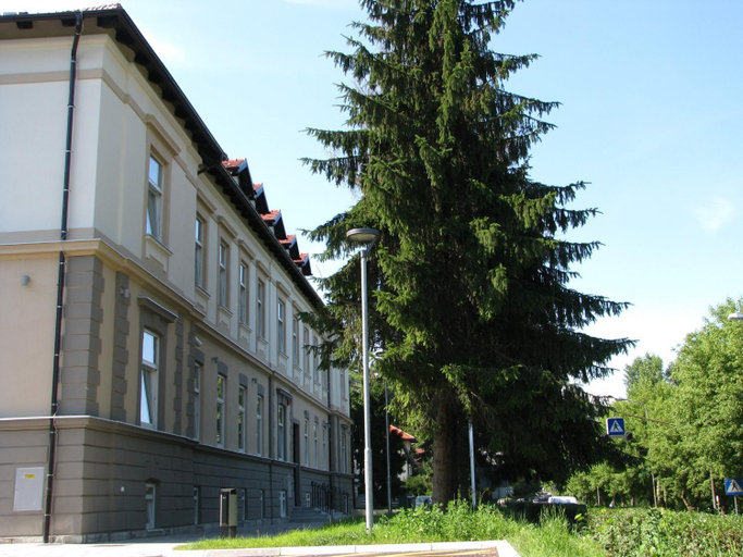 Others 3, Youth Hostel Krsko, Krško