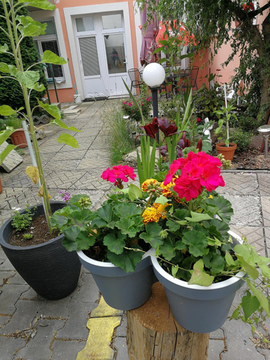 Others 4, Penzion Libertas Marianske Lazne, Cheb