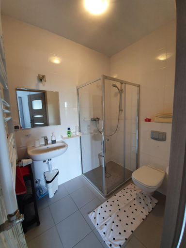Bathroom 2, Willa Oliwia, Słupsk