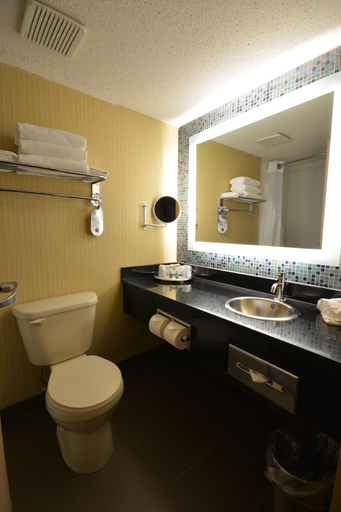 Bathroom 4, iHotel and Convention Centre Red Deer, Division No. 8