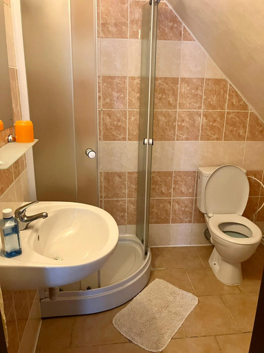 Bathroom 5, Penzion Tereza, Jablonec nad Nisou