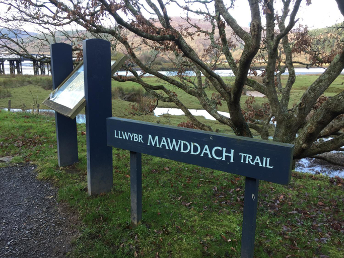 Others 4, Oceandrive, Gwynedd