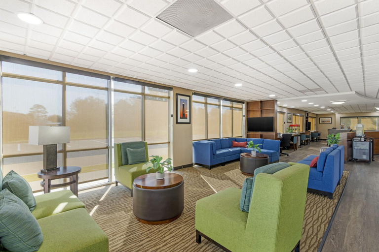 Public Area 2, Comfort Suites Brunswick, Glynn