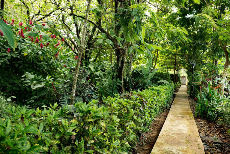5, Las Brisas del Sur, Osa