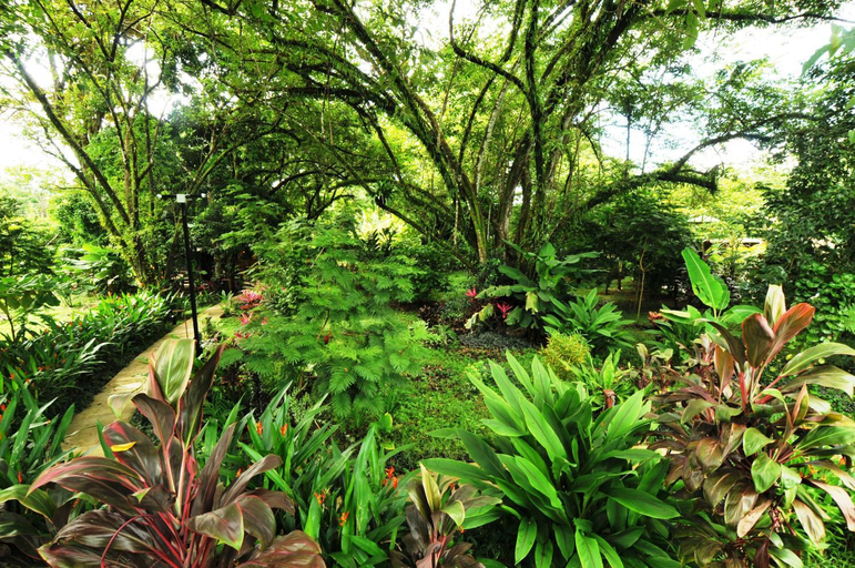 4, Las Brisas del Sur, Osa