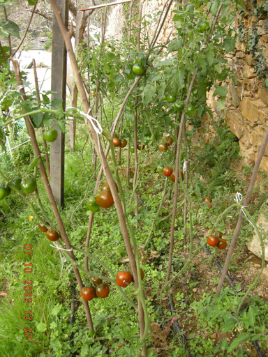 Others 3, Finca Portizuelo, Asturias