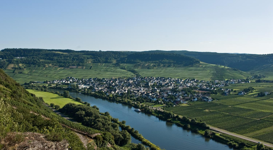 Others 4, Weinhaus Kurtrierer Hof, Trier-Saarburg
